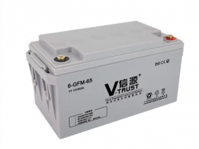 6-GFM-65（VT12V65AH）